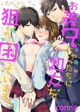 お義兄ちゃんたちに処女を狙われて困っています!(1) パッケージ画像表