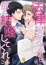 おまえの為に法律変えたから、俺と結婚してくれ(1) パッケージ画像表