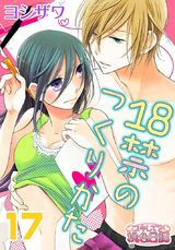 18禁のつくりかた 17 パッケージ画像表