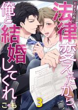 おまえの為に法律変えたから、俺と結婚してくれ(3) パッケージ画像表