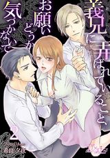義兄に弄ばれていること、お願いどうか気づかないで 2 パッケージ画像表