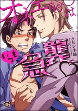オネエさんはいつも急襲v【電子限定かきおろし漫画付】 パッケージ画像表