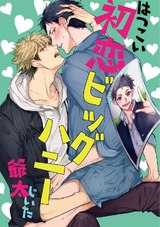 初恋ビッグハニー パッケージ画像表