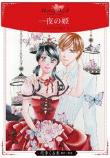 一夜の姫~ヒトヨルのヒメ パッケージ画像表