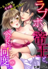 ラブホの帝王と、ベッドで、何度も。~もう何回イッたかわからない~(1) パッケージ画像表