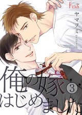 俺の嫁はじめました 3 パッケージ画像表