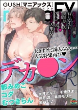 GUSHmaniaEX デカ●ンR パッケージ画像表