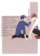 にびいろハート パッケージ画像裏