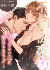 不倫初夜、許されない恋に溺れるカラダ…(5) パッケージ画像表