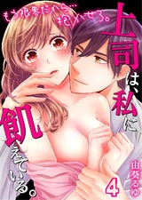 上司は、私に飢えている。~もう限界だから…抱かせろ。(4) パッケージ画像表