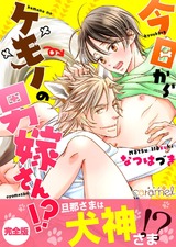 今日からケモノの男嫁さん!?【完全版】 パッケージ画像表