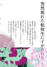 黒王子の言いなりにならない! パッケージ画像裏