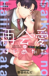 再会愛のはじめかた 2度目の夜にシたいこと パッケージ画像表