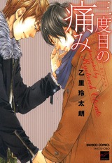 三度目の痛み パッケージ画像表