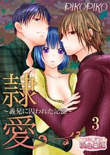 隷愛 ~義兄に囚われた記憶~ 3 パッケージ画像表