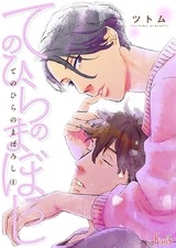 てのひらのまぼろし パッケージ画像表