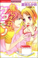 焦らされたケダモノ パッケージ画像表