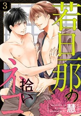 若旦那の拾いネコ(3) パッケージ画像表