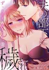 夫の部下に穢されて~ずっと君を、愛してた。3 パッケージ画像表