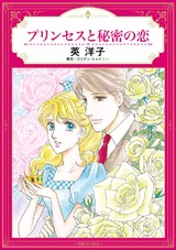 プリンセスと秘密の恋 パッケージ画像表