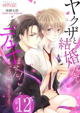ヤクザと結婚なんてデキません!~その女、男装女子につき~ 12 パッケージ画像表