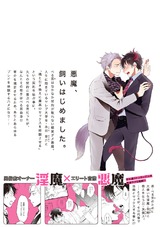 淫魔じゃないのに! パッケージ画像裏