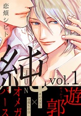 純 1 パッケージ画像表