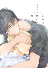きみは僕の嘘 パッケージ画像表