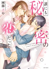 誰にも秘密の恋だった パッケージ画像表