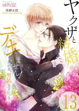 ヤクザと結婚なんてデキません!~その女、男装女子につき~ 13 パッケージ画像表