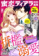 蜜恋ティアラ特別編集 折檻×溺愛 パッケージ画像表