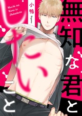 無知な君としたいこと(2) パッケージ画像表