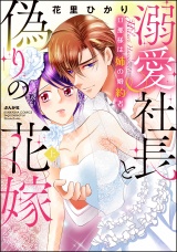 溺愛社長と偽りの花嫁 旦那様は姉の婚約者【かきおろし漫画付】(上) パッケージ画像表