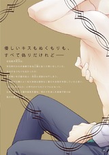 暗がりでくちづけを パッケージ画像裏