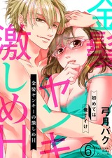 金髪ヤンキーの激しめH~初めては俺でイけ6 パッケージ画像表