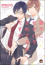 部下にセクハラされてるんですが パッケージ画像表