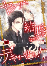 ヤクザと結婚なんてデキません!~その女、男装女子につき~【描き下ろしおまけ付き特装版】 パッケージ画像表
