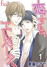 恋するエレベーター パッケージ画像表