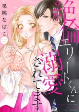 絶倫エリートくんに溺愛されてます パッケージ画像表