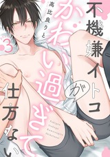 不機嫌イトコがかわい過ぎて仕方ない(3) パッケージ画像表