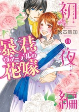 暴君ヴァーデルの花嫁 初夜編 14 【電子限定特典ペーパー付き】 パッケージ画像表
