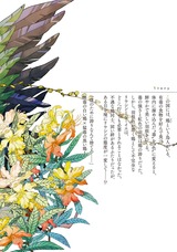 鴆 比翼の鳥 パッケージ画像裏