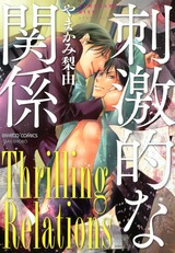 刺激的な関係 パッケージ画像表