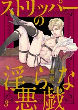 ストリッパーの淫らな悪戯3 パッケージ画像表