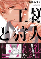 王様と狩人 パッケージ画像表
