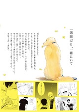 ナツマチ パッケージ画像裏
