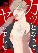 カッとなってヤりました。(3) パッケージ画像表