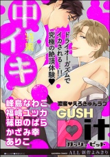 GUSHpit 中イキ パッケージ画像表