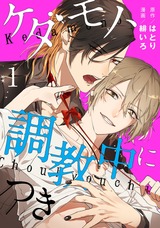 ケダモノ、調教中につき act.1 パッケージ画像表