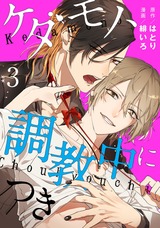 ケダモノ、調教中につき act.3 パッケージ画像表